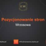 Pozycjonowanie stron Wrzosowa – Pozycjonowanie w Wrzosowej