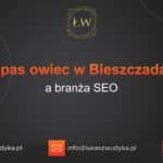 Wypas owiec w Bieszczadach a branża SEO