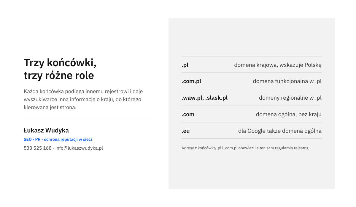 Infografika zestawiająca końcówki .pl, .com.pl, regionalne, .com i .eu z informacją, czym są i jaki kraj wskazują wyszukiwarce.